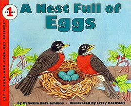 a-nest-full-of-eggs